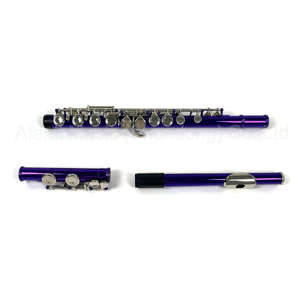 Afanti Selection Quality Student 16 Closed Holes Purple Flute