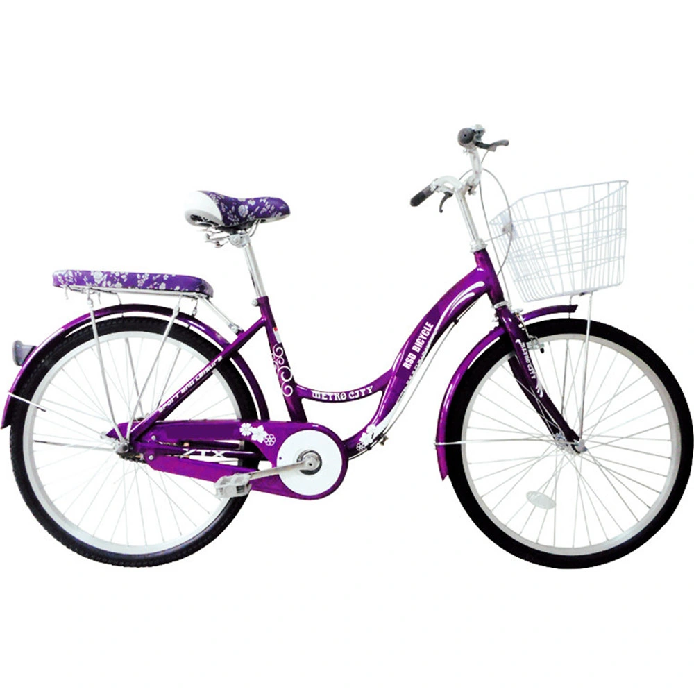 Tianjin Urban Vintage Style City Bicycle with CE