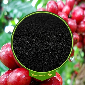 Fertilizante orgánico de cristal brillante negro 85%Min Soluble en agua con el potasio Humate del Leonardite