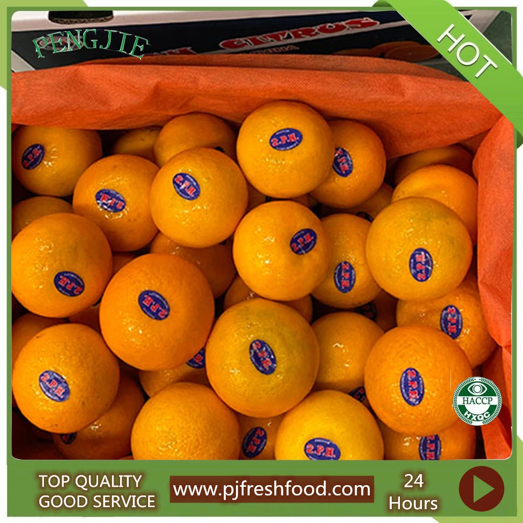 Fresh Sweet Mandarin Juicy Murcott Mandarin