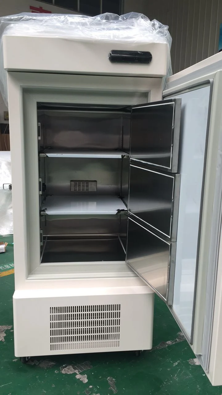 Biobase China Low Temperature Deep Freezer Vaccine Freezer for Lab