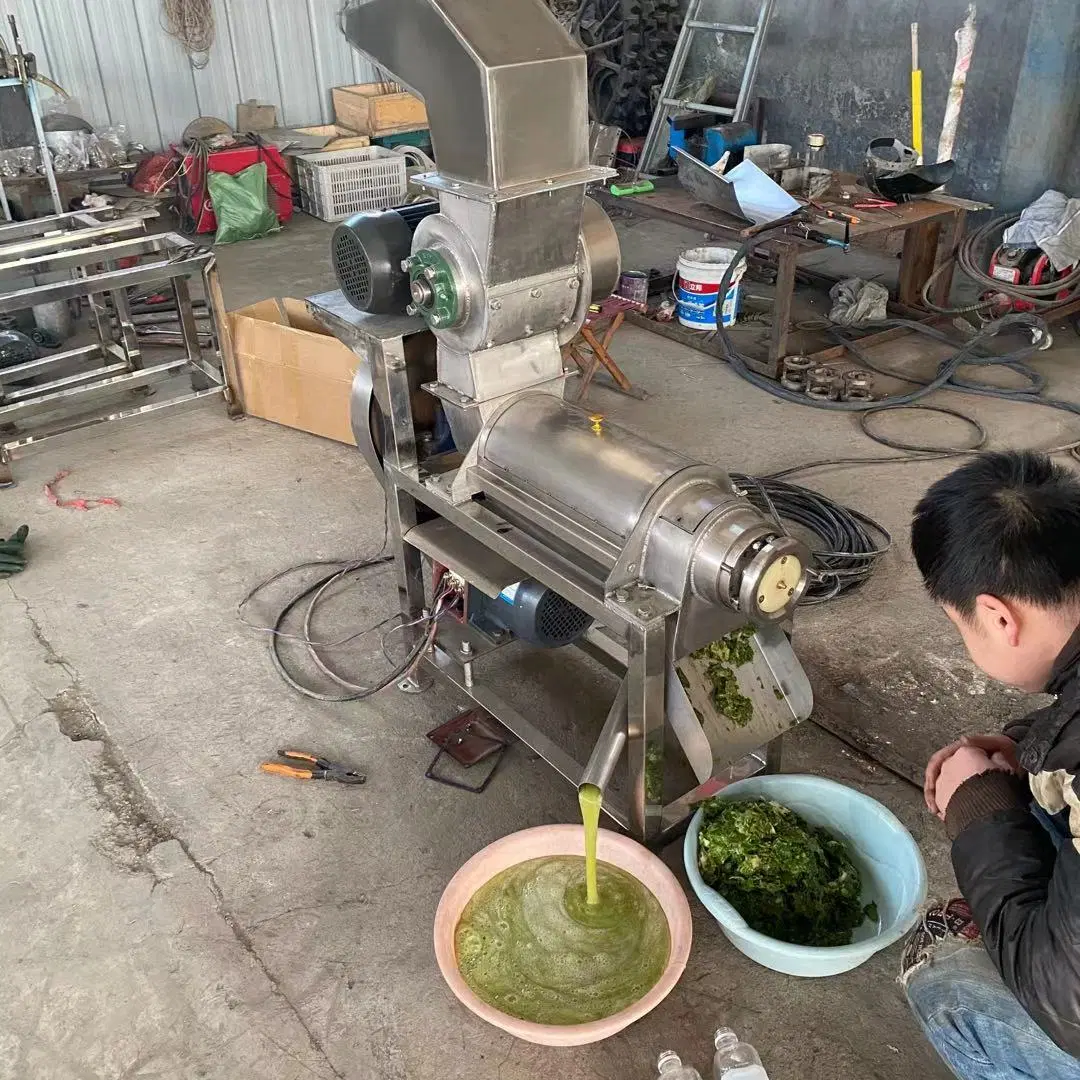 Große Zitrone Ingwer Zitrone Traubensaft Wassermelone Blaubeersaft Produktion Maschine