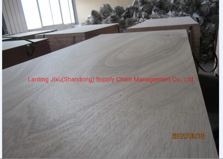 Rusia chapas de madera de abedul de muebles de madera contrachapada China Proveedor de madera