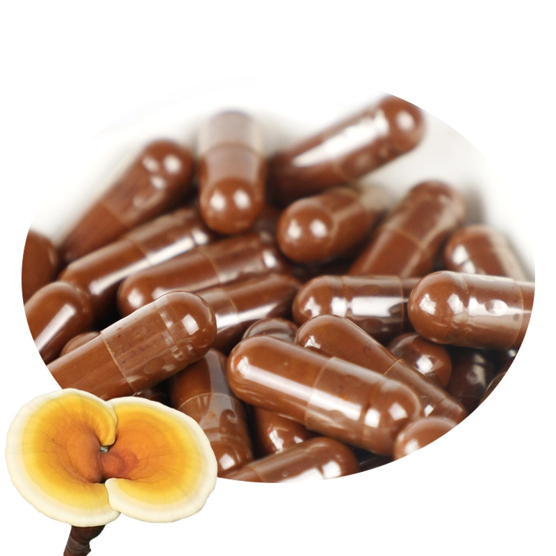 OEM Wholesale/Supplier Dried Reishi Mushroom Ganoderma Lucidum Extract Capsule