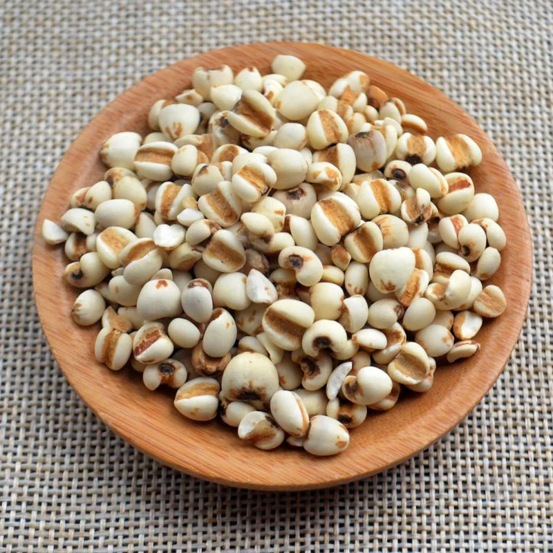 Coix Seed Herbal Medicine Herbs Wholesale/Supplier Dried Coix Semen Coicis Seed