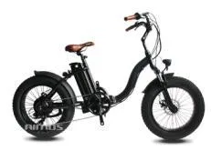 Bicicleta elétrica dobrável de 20 polegadas Alloy36V 250W com guarda-lamas