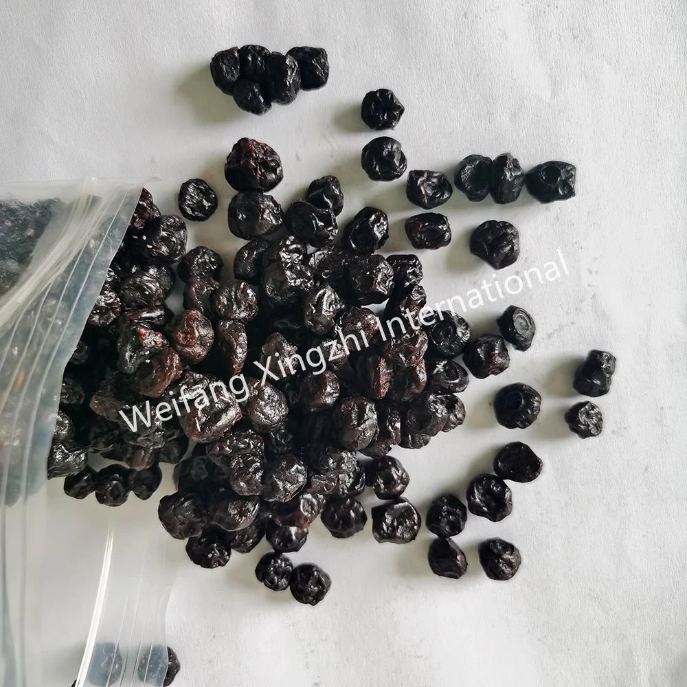 Venda por grosso de frutos secos Barato preço Blueberry secas