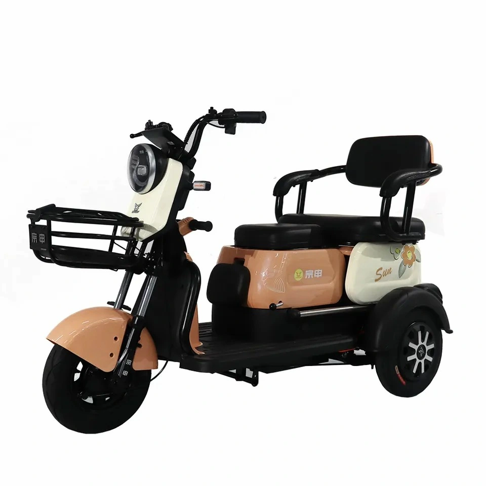 Mini Three Wheeler Tricycle Electric Moped 48V 600W Leisure Scooter Good Looking Fall Prevention Electric Motorcycle