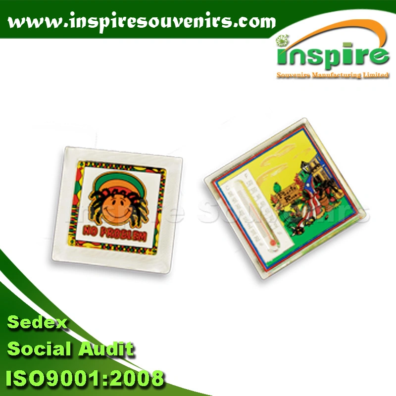 Promotional Gift Palm Tree Printing Magnetic Sticker (FM-11)