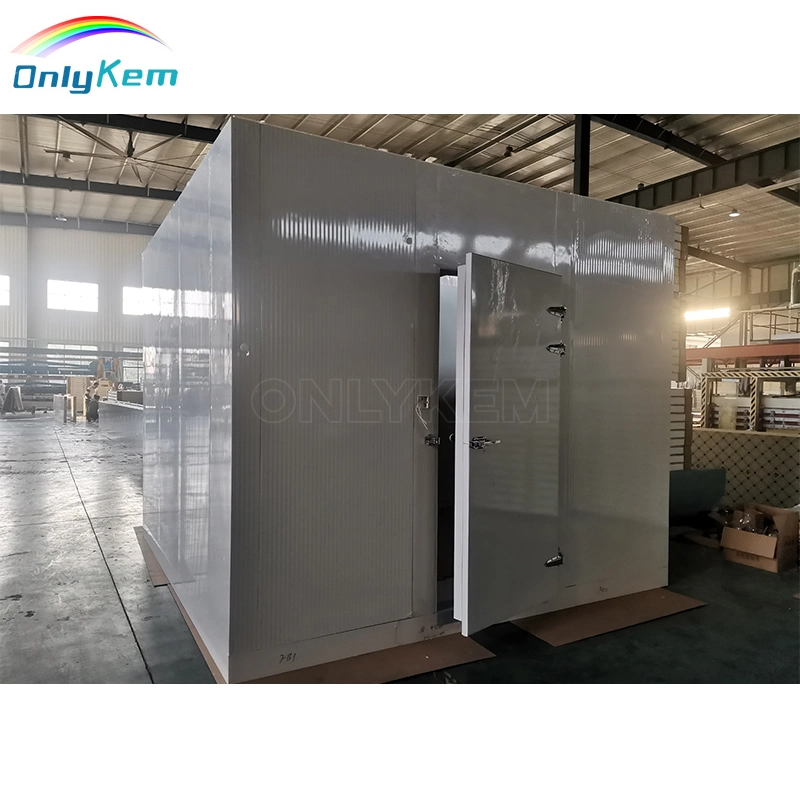 Freezer Room/ Cold Room/ Cold Storage /Walk in Freezer Equipped with Sandwiche PU Panel and Refrigeration Equipment Used for Meat and Seafood