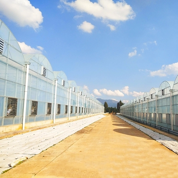 Exhaust Fan for Fiberglass Greenhouse Covering Insulated Glass