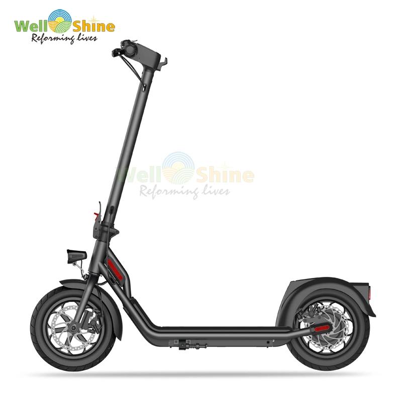 Electric Kick Scooter with Dual Motor for Adults