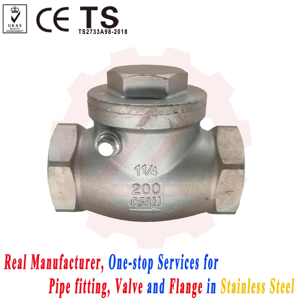 316L Pn10 10bar Swing Check Valve for Fuel Line