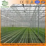 Venlo Agriculture PC Sheet Salad Hydroponics Greenhouse