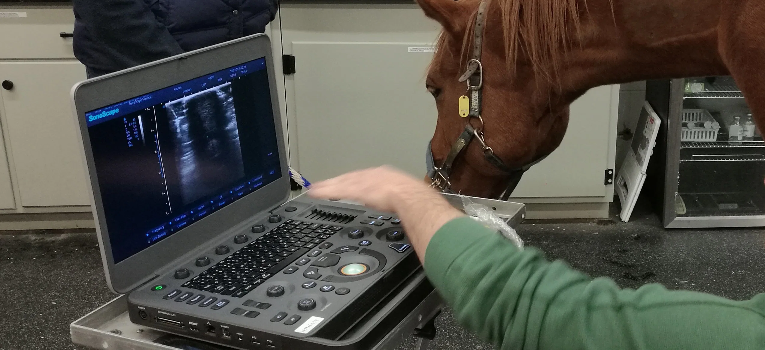 Ультразвуковой датчик Sonoscape X5V Equine Portable Ultrasound Machine Rectal Probe Ecografo Portatil Ветеринарное оборудование