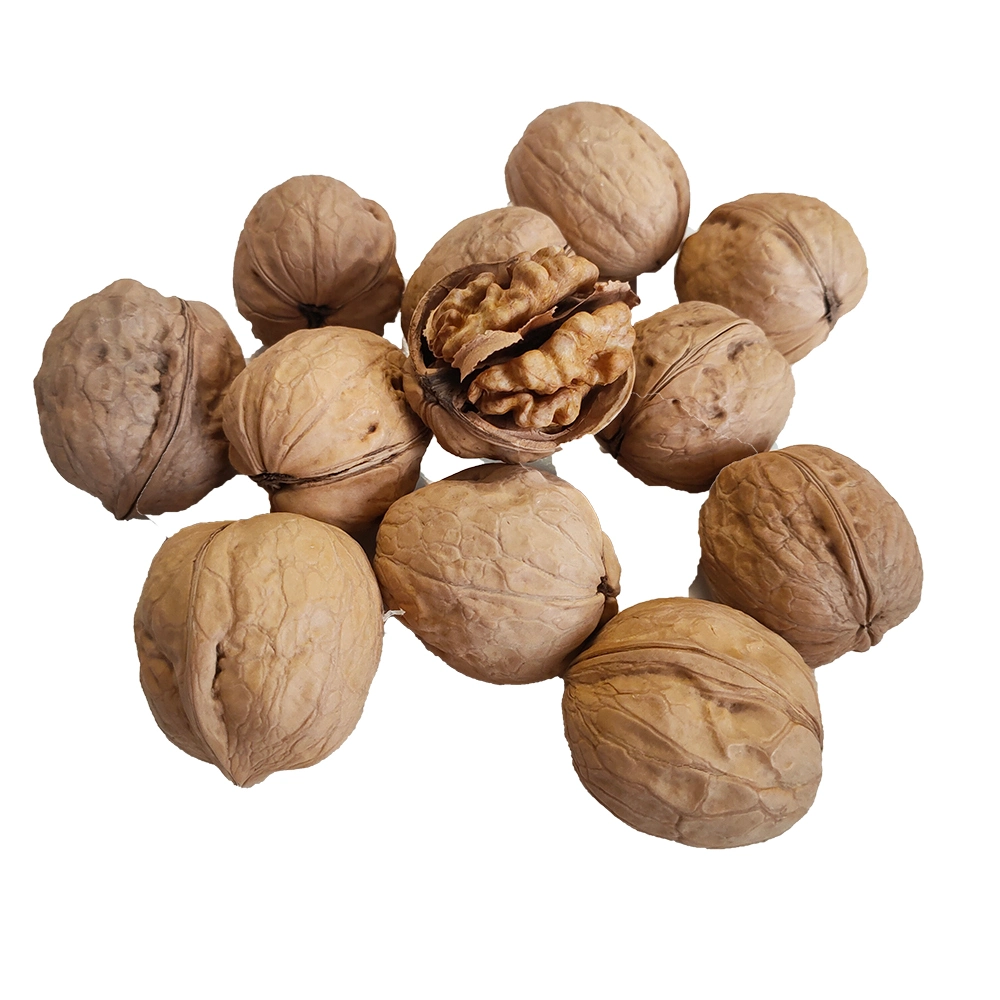 2022 New Corp Xinjiang Thin-Skin Shelled Walnut with Shell