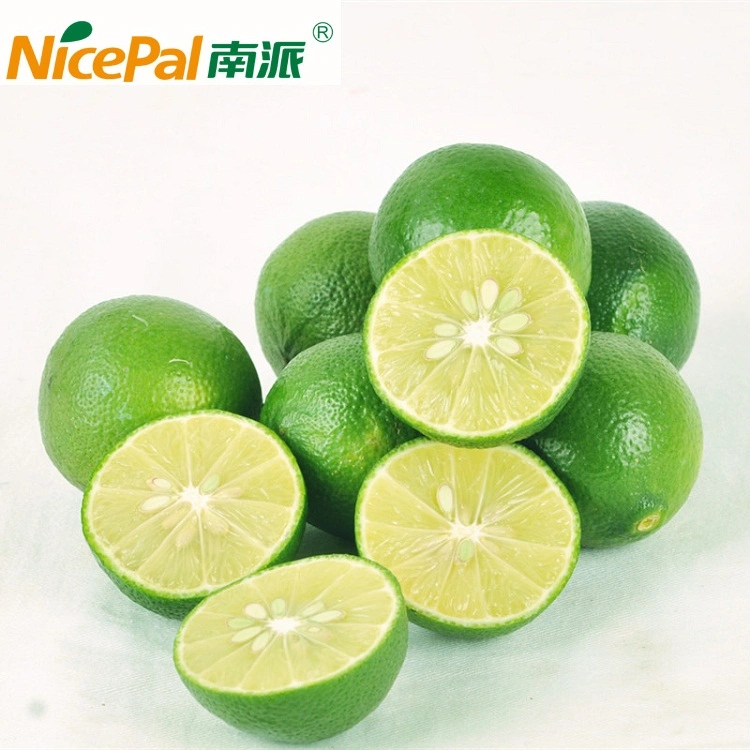 Lime Juice Powder Food Ingredients for Ice Cream