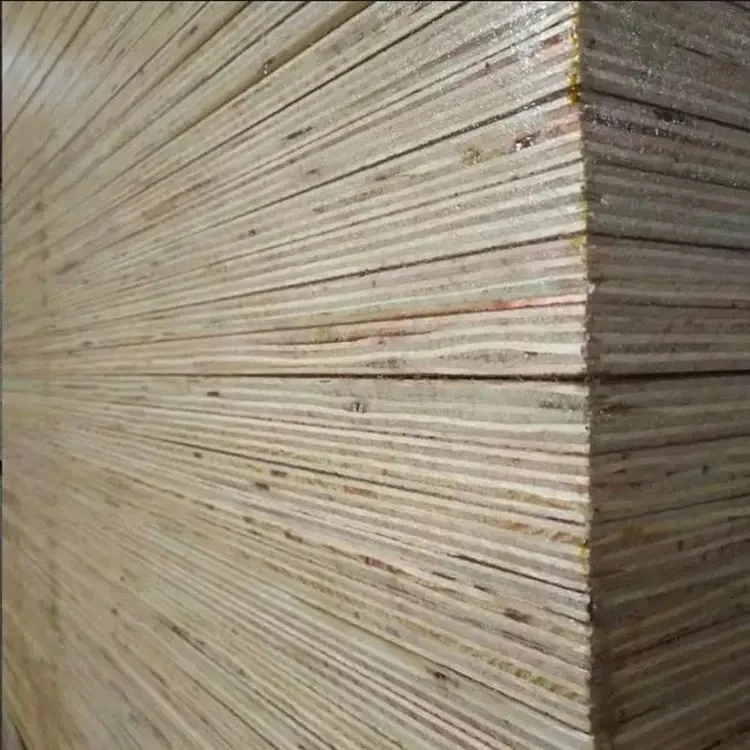 CE Cheap Price 18mm WBP Glue Film Faced Plywood / Construction Plywood