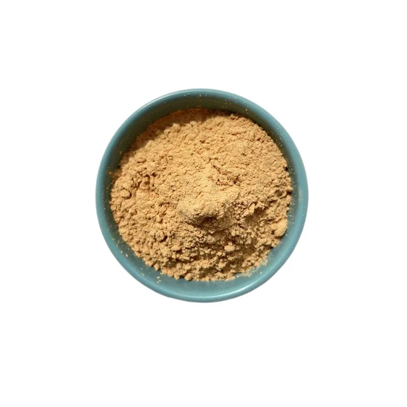 Healthcare Grade Milk Thistle Seed Extract Silymarin 80%, Silybin & Isosilybin 30% Powder