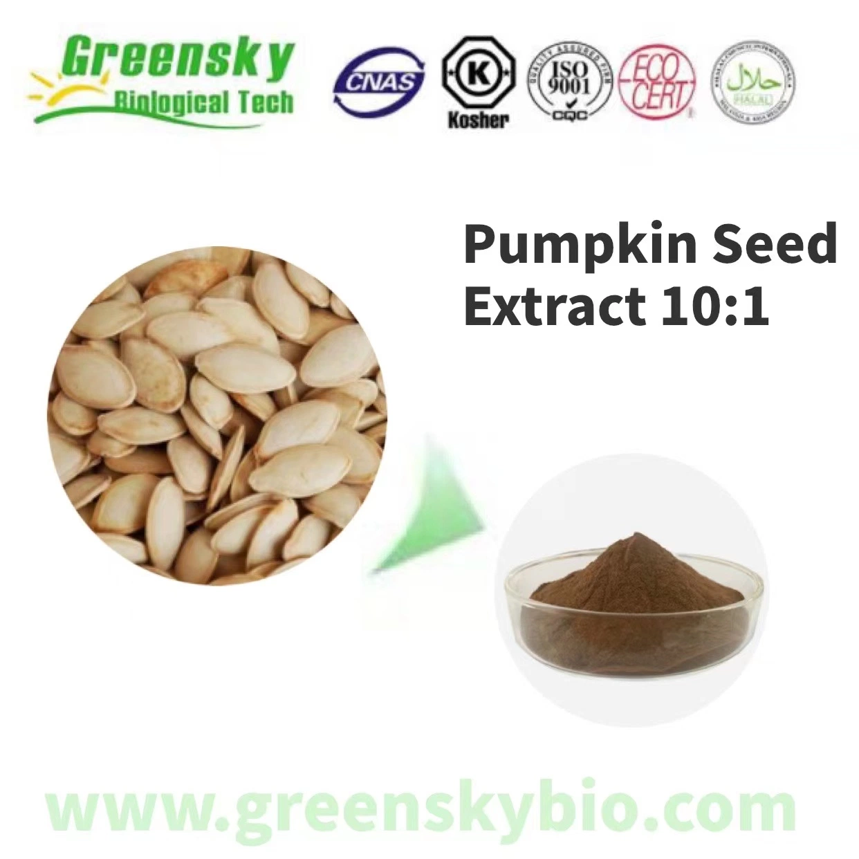 Certificación Halal 100% Natural de proteínas extractos de plantas, el extracto de semilla de calabaza/Zapallo Extracto 10: 1 Polvo amarillo marrón