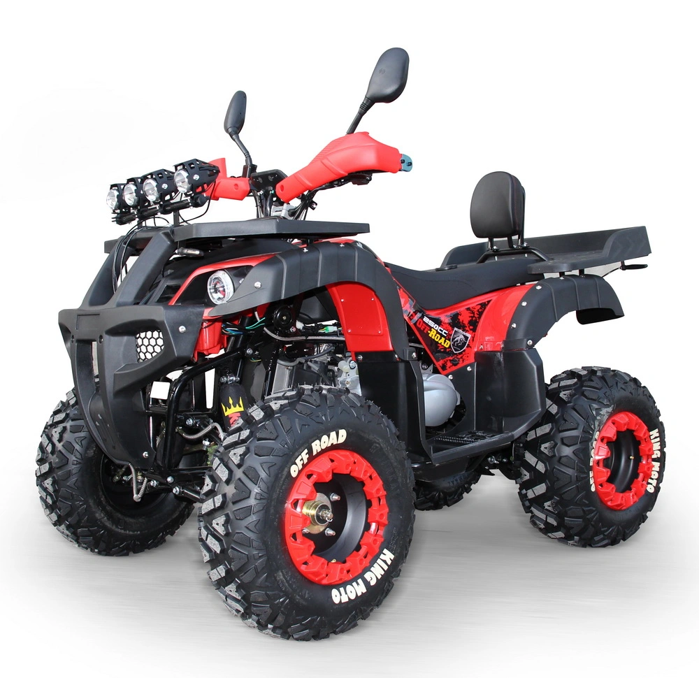 250cc Quads Quadricycles à quatre roues pour adultes