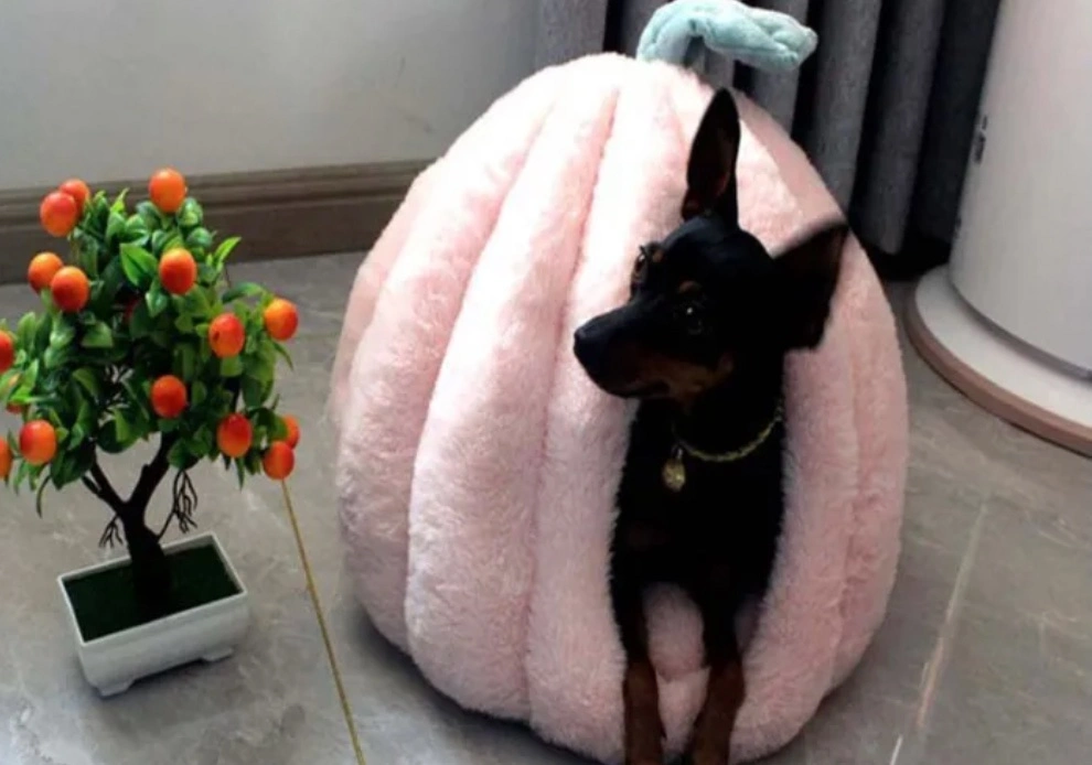 Winter Dog Cat House Pumpkin Warm Dog Bed Removable Pet Supplies