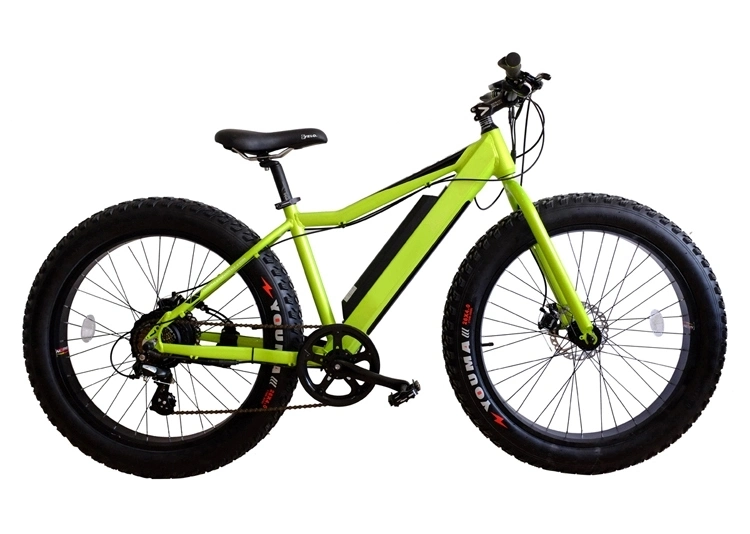 48V750W Electric Mountain Bike with Fat Tire Lithium Battery