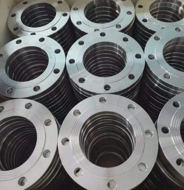 Pn16 Blind Flange Stainless Steel Forged DIN 2527