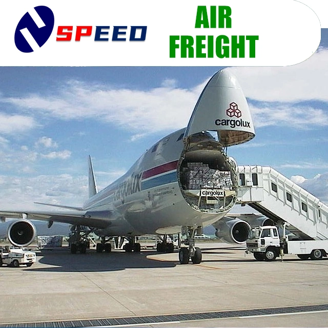 Various Specifications Air Freight Competitive Cheap Price From China to Italy DDP Shipping Agent Service