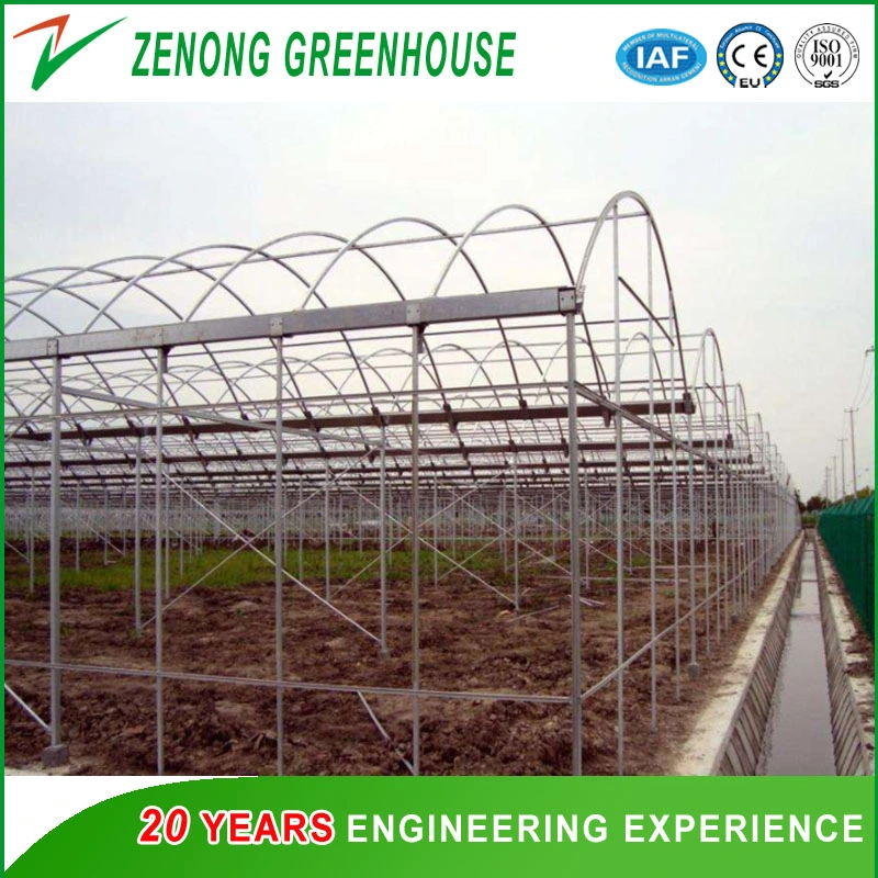 Good Quality Plastic Film Green House with Galvanized Standing Pillar for Sale