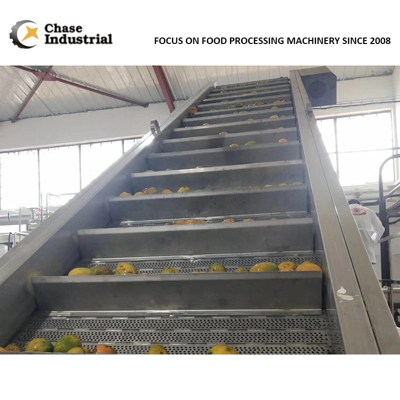 Manufactory and Trading Combo Mango Paste Processing Line