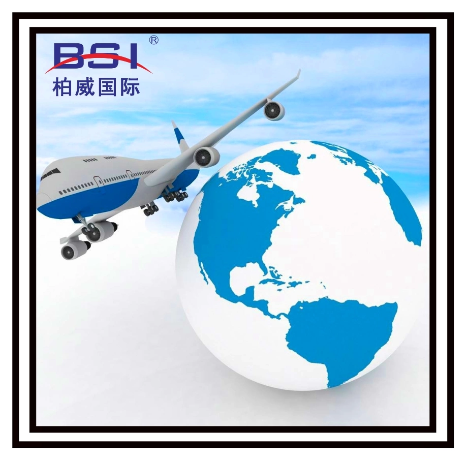 Top Logistics Cargo Transportation Services From China by Air to Paris, France