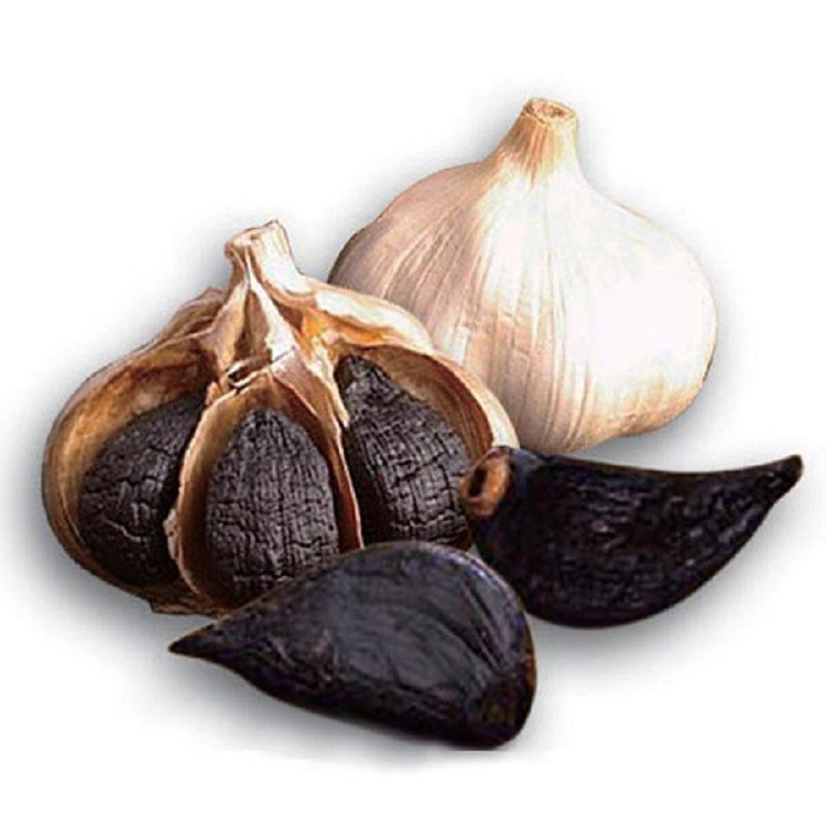 Black Giant Garlic for Japan Market