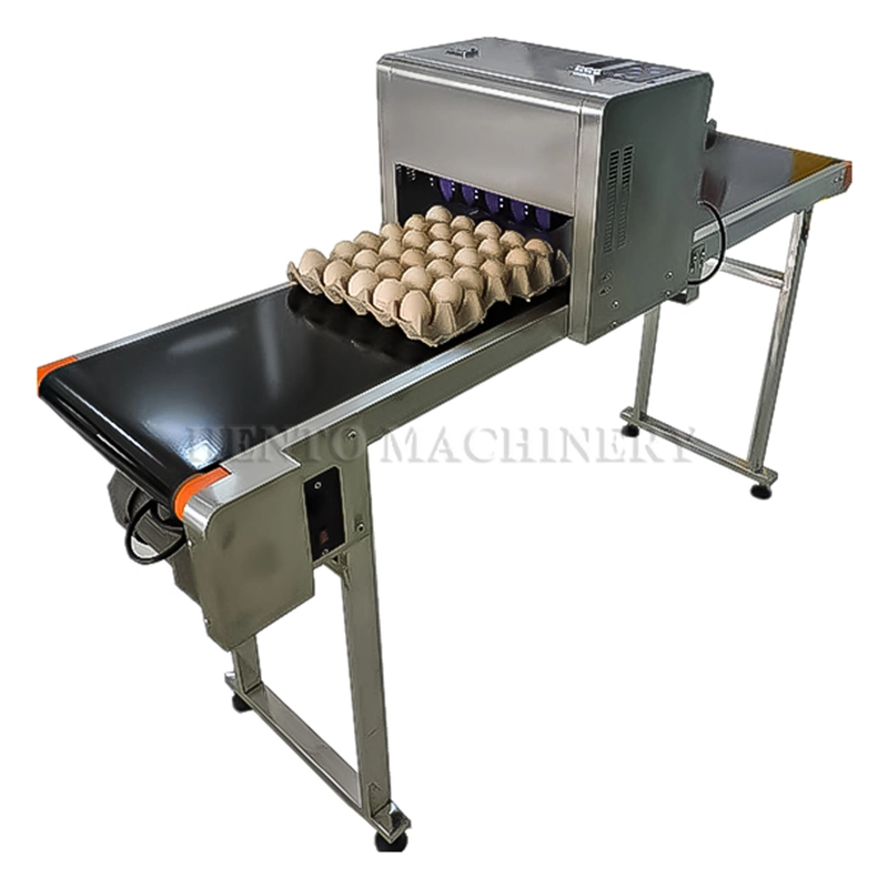 HENTO Factory Automatic Egg Date Coding Printing Machine / Egg Inkjet Printer