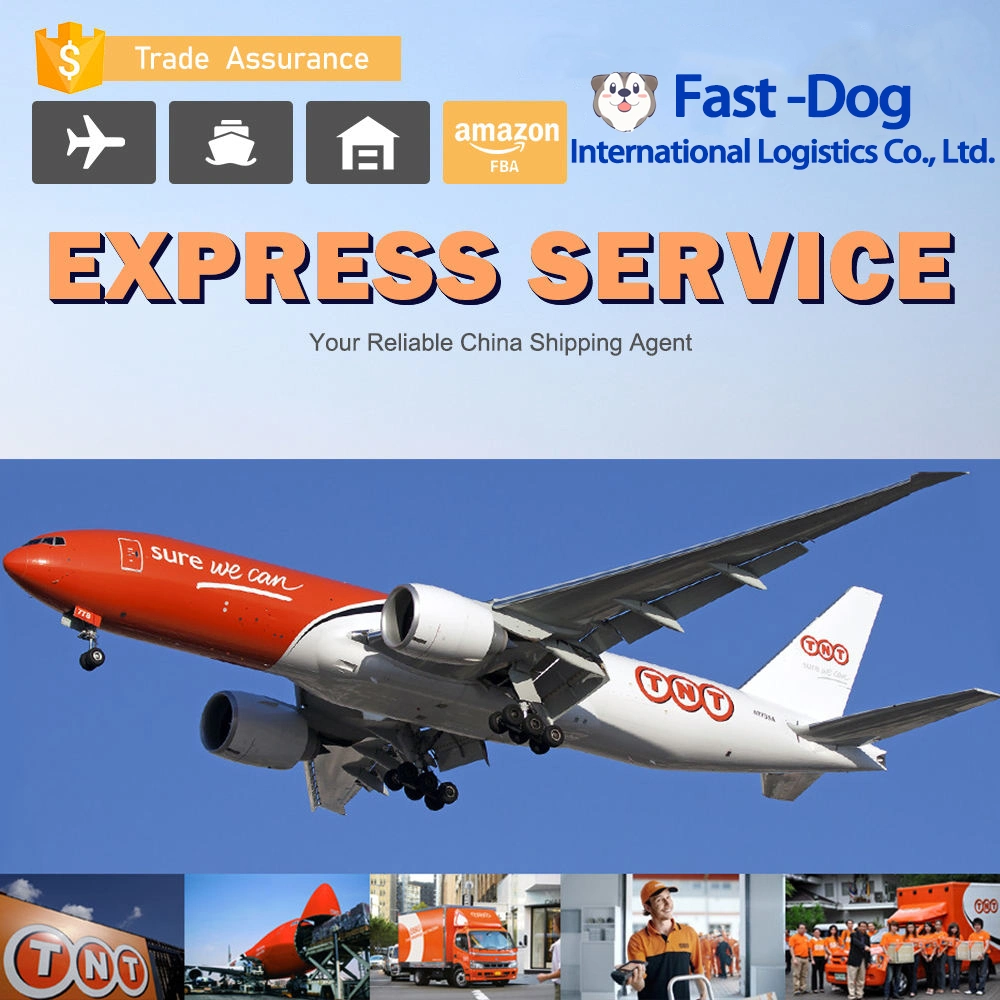 Professional DHL/FedEx/UPS/TNT Shipping Agent From China to Worldwide