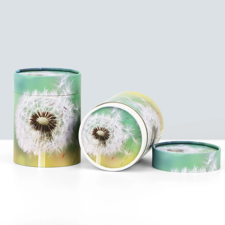 Firstsail Wholesale/Supplier Custom Bio Dandelion Printed Paper Scatter Tube Funeral Pet Ashes Urn Modern Style