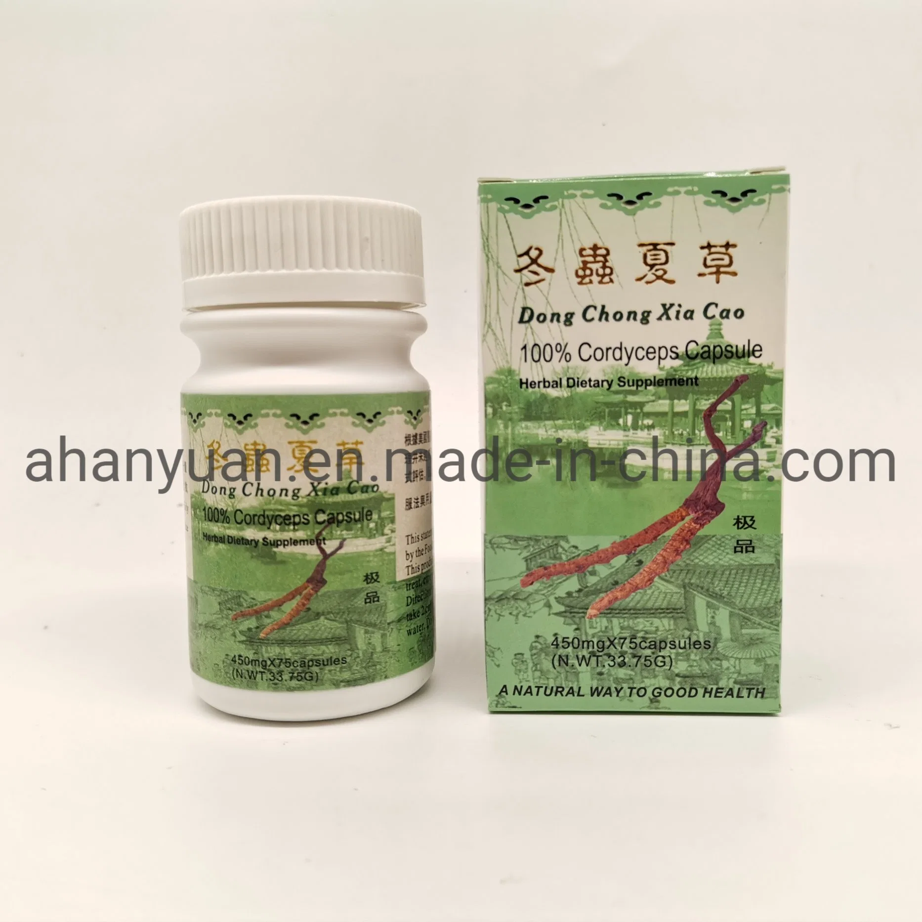 OEM/ODM Immune Support Organic Reishi Extract Cordyceps Mushroom Extract Capsules Herbal Supplements Food Garde