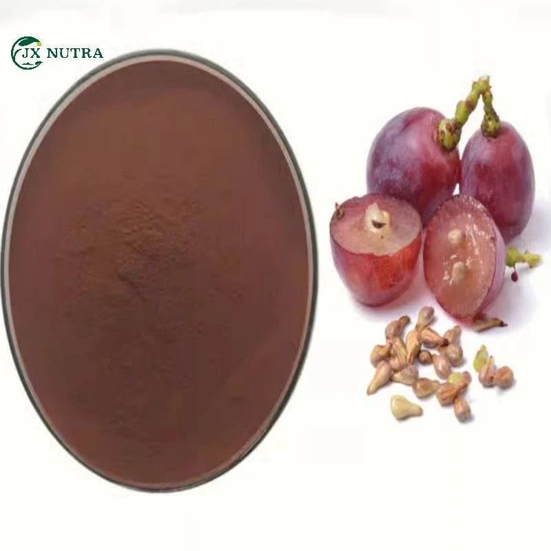 Vitis Vinifera 95% PAC Grape Seed Extract