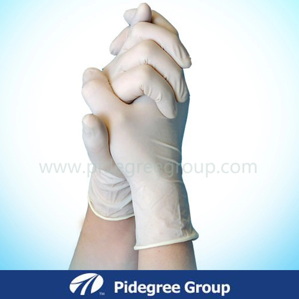 Health Latex Surgical Gloves Sterilized by Gamma Radiation ISO13485 Certified by SGS