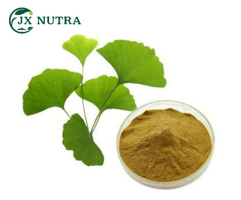 USP-NF2021 (USP44) extrait de ginkgo Biloba 24% 6% feuille de ginkgo Biloba Extraire