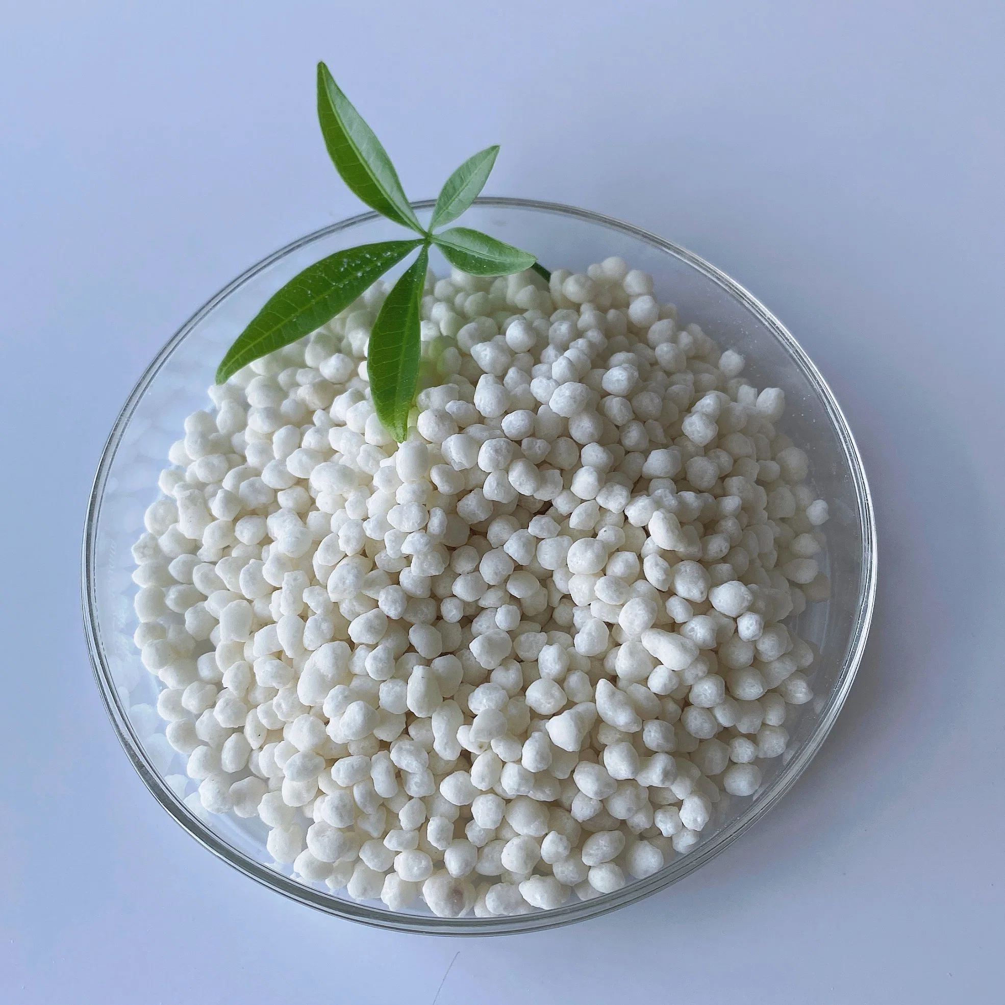 99% Granular Ammonium Sulphate From Ammonium Sulfate Factory