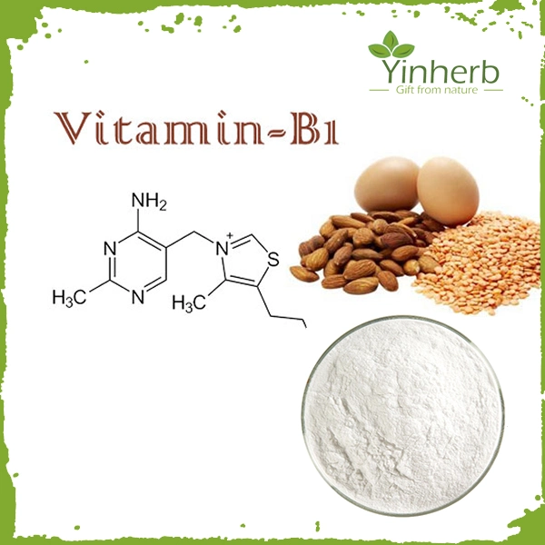 Yinherb Lab Supply Vitamin B1 High Quality Pharmaceutical Thiamine Vitamin B1 HCl Hydrochloride Best Price