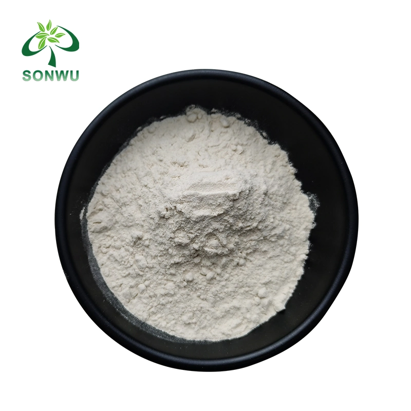 Sonwu Supply Fruit Powder Freeze-Dried Lychee Powder Litchi Juice Powder