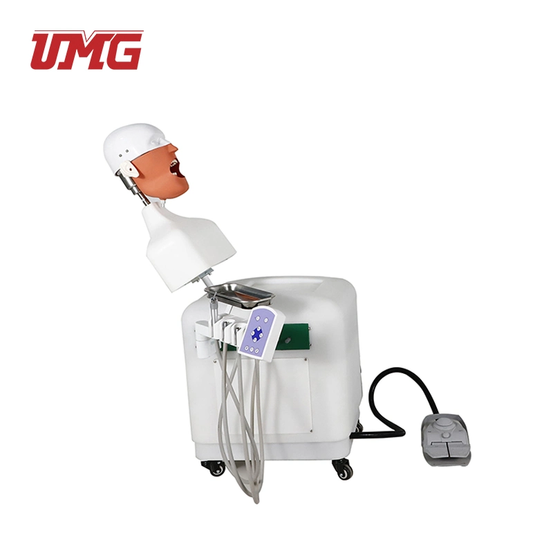 Economic Trachea Intubation Model Adult Intubation Training Simulator