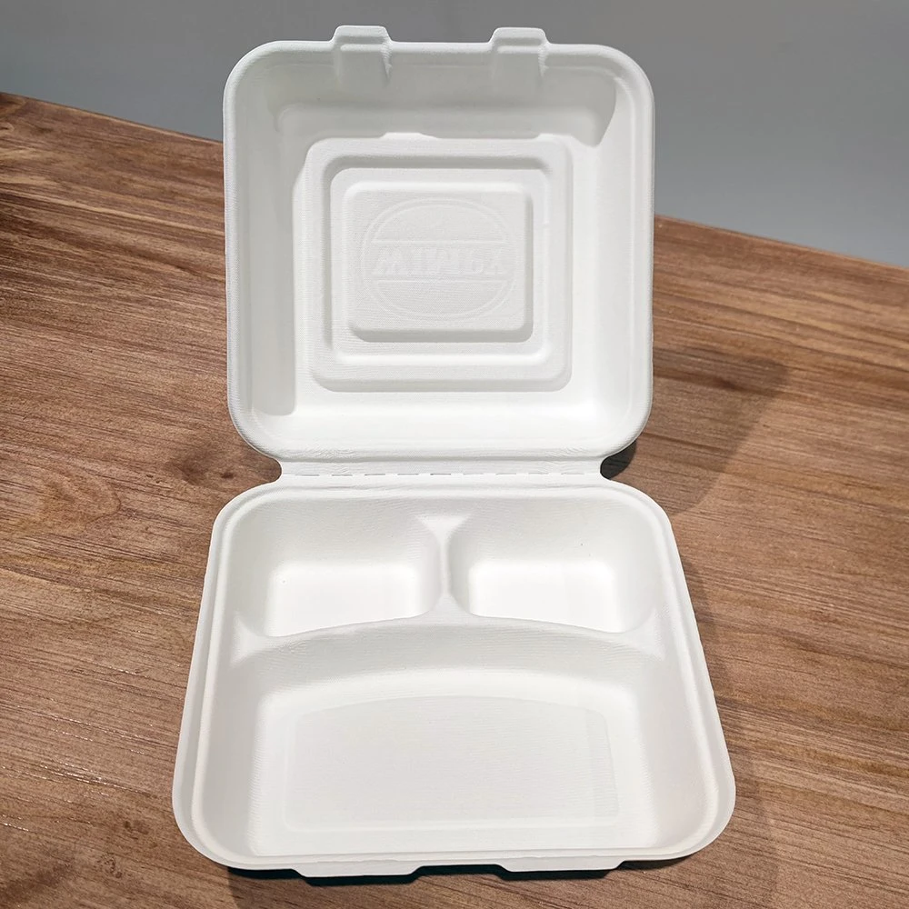 Good Quality Eco Friendly Pack 10 Inch Biodegradable Container Hinged Take Away Food Package Box