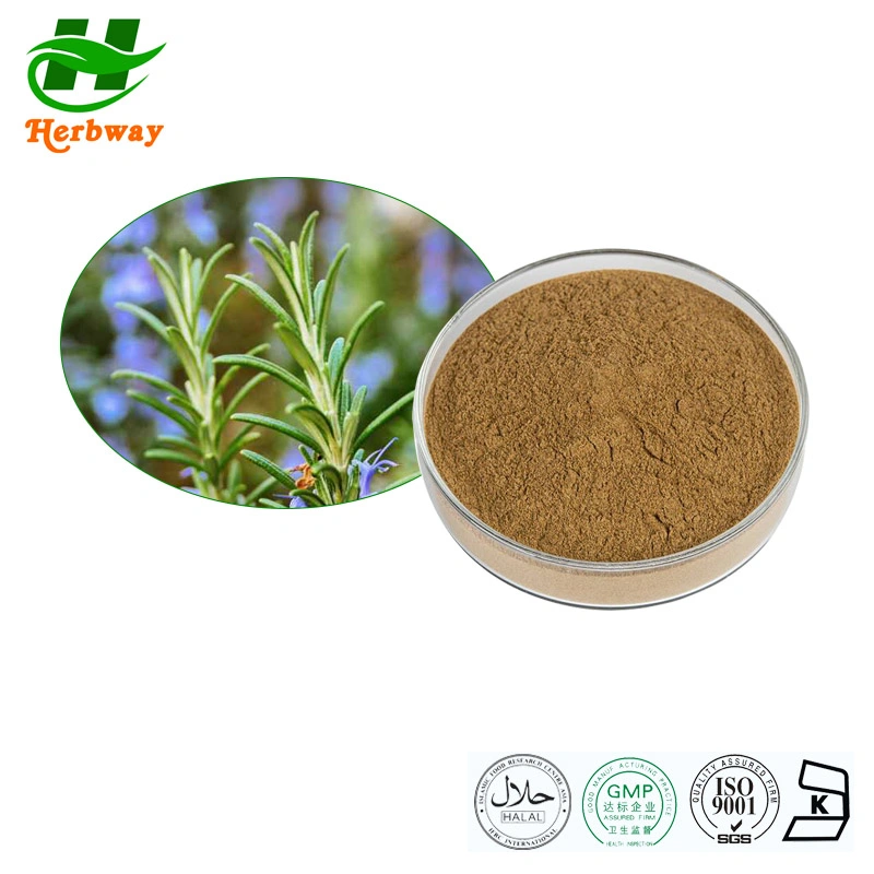Herbway Wholesale Price Herb Plant Extract Kosher Halal Fssc HACCP Certified 75% Carnosic Acid Rosemary Extract