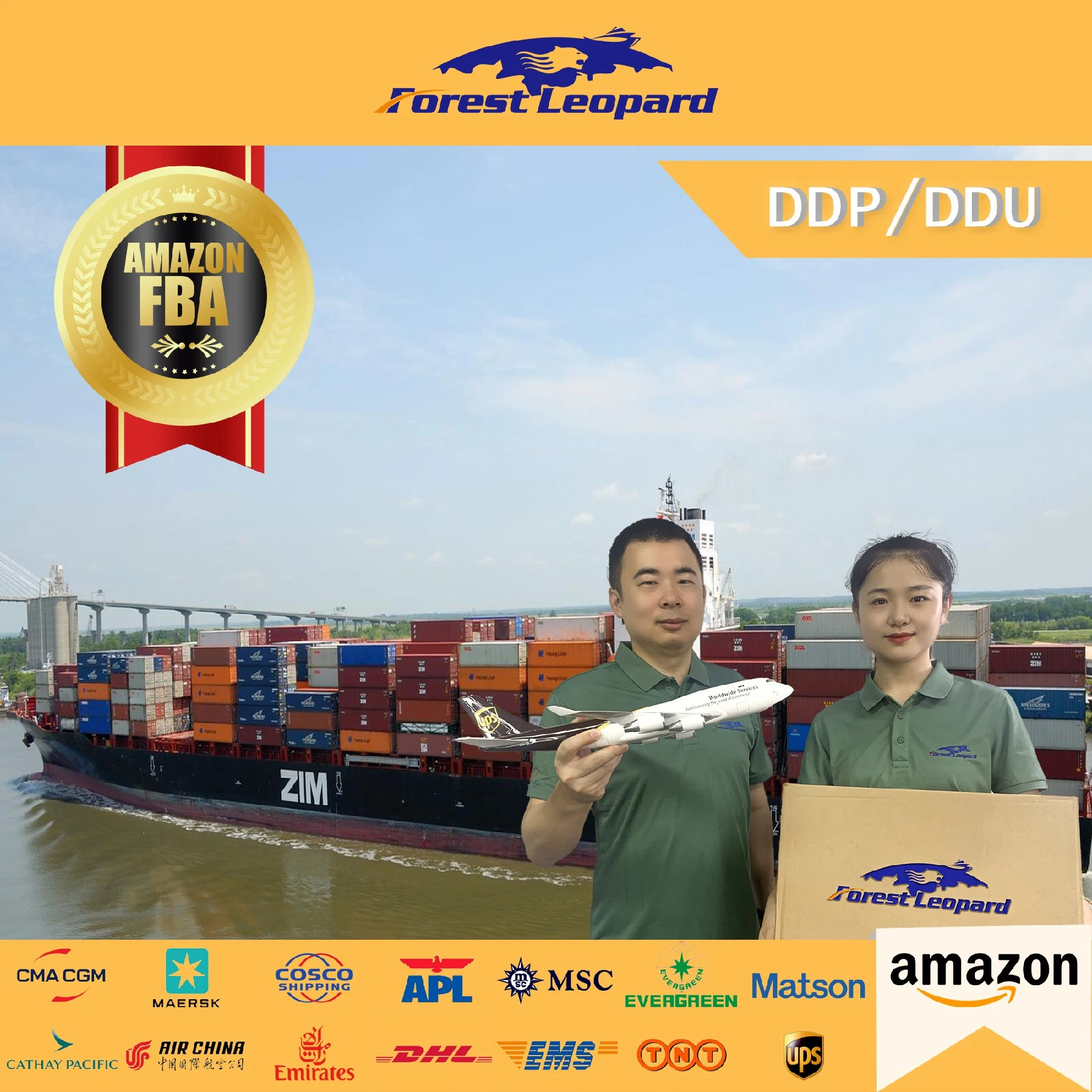 Sea Freight Forwarder Shipping Agent From China to USA Canada UK Amazon Fba