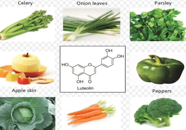 Calidad garantizada Luteolin CAS 491-70-3 para Anti-Oxidant con buen precio.