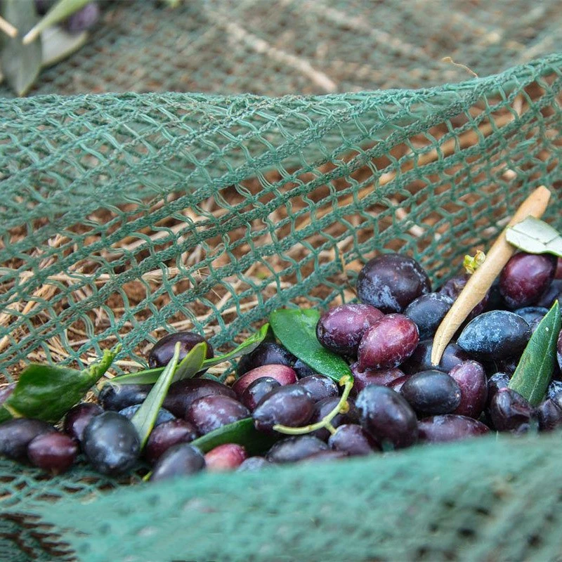 Nut & Olive Harvesting Net Gathering Nets