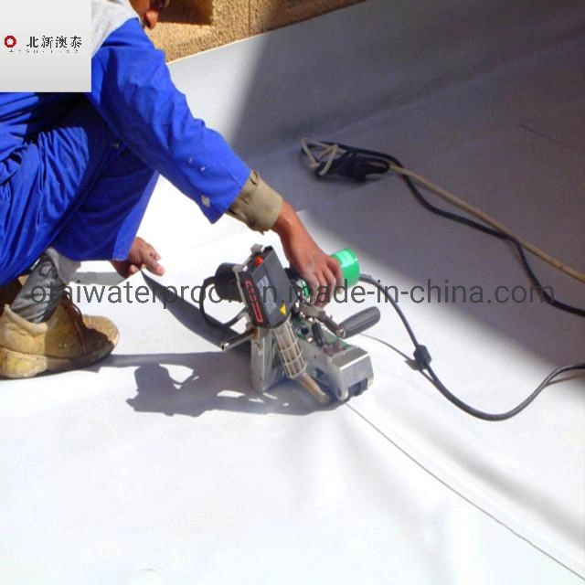 HDPE Plastic Waterproof Membrane Building Waterproofing Material